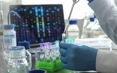 Prof Andrew Shelling on how genetic testing helps predict disease